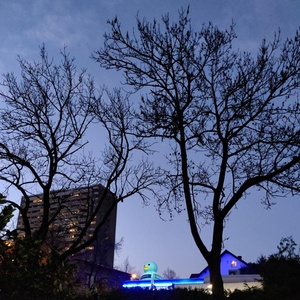 Pixelfed Photo: 🦆