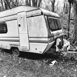 Pixelfed Photo: Graylerpark