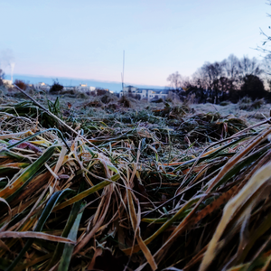 Pixelfed Photo: 🥶