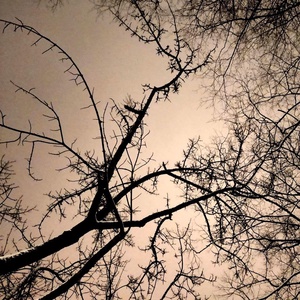 Pixelfed Photo: 🌌