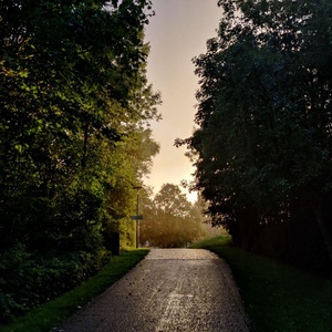 Pixelfed Photo: Unreal light on today's run