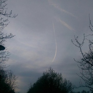 Image attached to Tweet